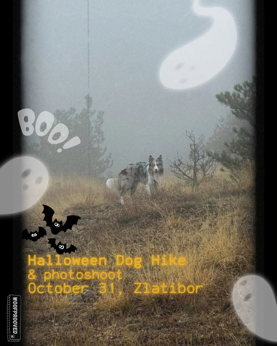 HOWL-OWEEN HIKE в Сербском Форксе, сб, 31 октября, Golden Gondola