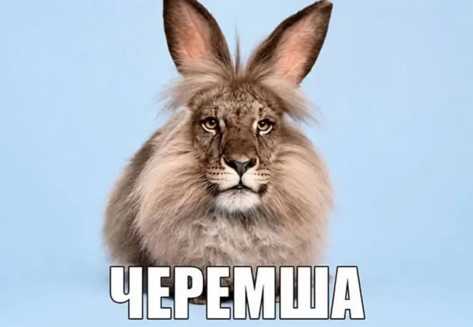 Лекция про мемы, чт, 29 октября, 19:00