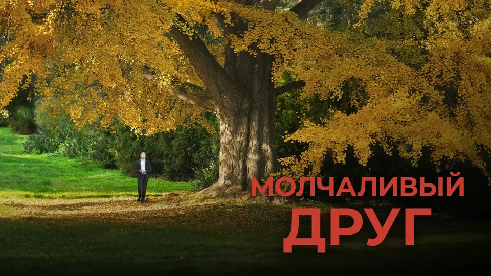 Кино «Молчаливый друг», ср, 28 октября, 19:00, KIK PUB